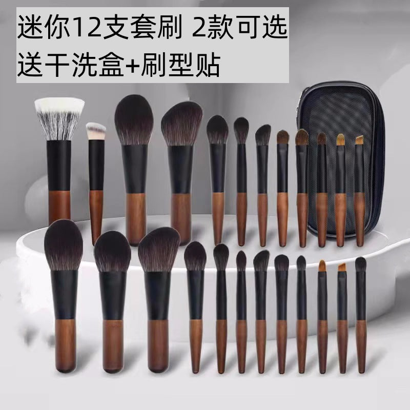 Mini 12-Piece Makeup Brush Set for Travel and Beginners - Eyeshadow & Powder Brushes