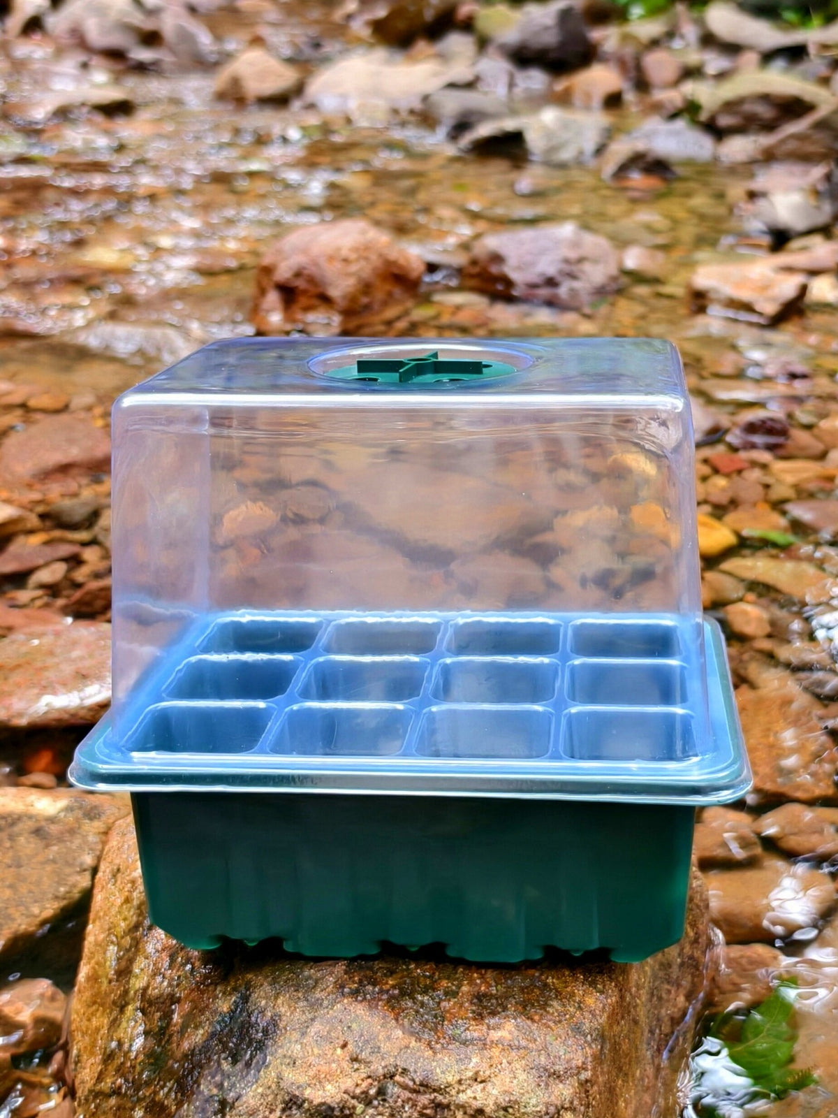 12-Cell Seedling Starter Tray with Dome Lid for Succulents and Cuttings