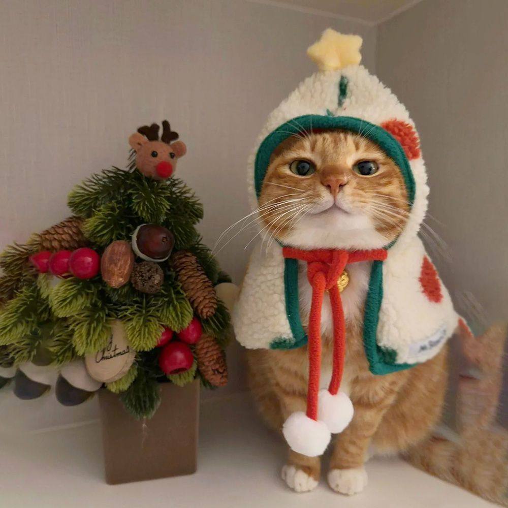 Pet Christmas Cloak for Cats and Dogs, Warm Winter New Year Costume for Photoshoots