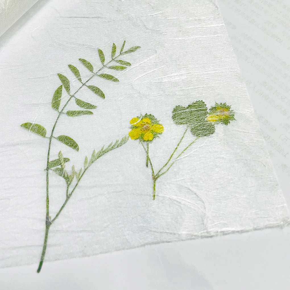 Japanese Washi Paper - Ultra-Thin Fiber Art Paper for Embossing and Backgrounds (Single Sheet)