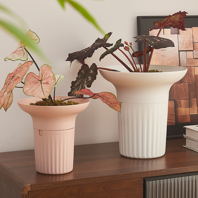 Large Breathable Orchid & Succulent Planter Pot with Drainage Base for Home & Balcony