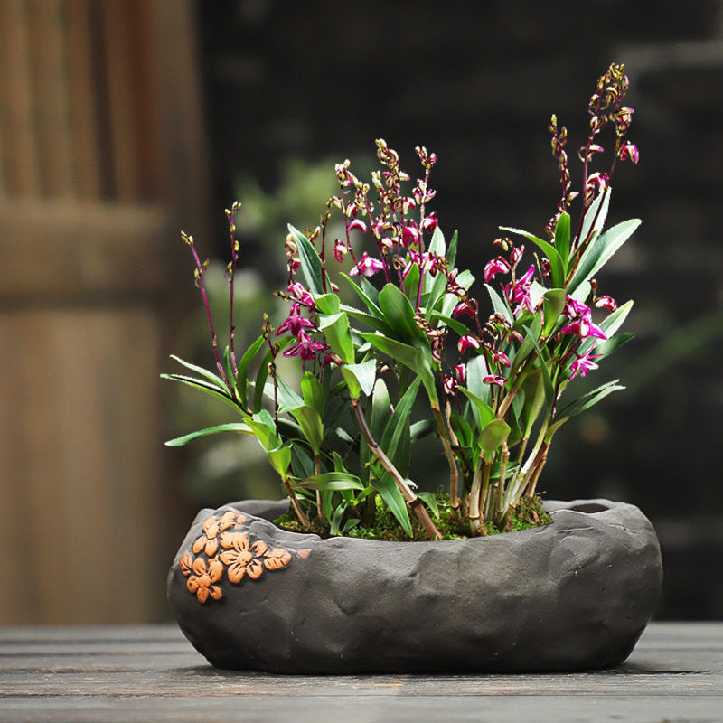 Large Caliber Breathable Ceramic Succulent Planter Pot for Balcony & Old Stumps
