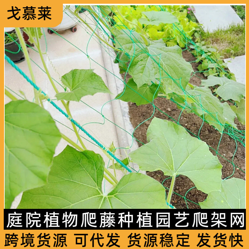 Plant Climbing Net Trellis for Garden Passion Fruit and Vines, Heavy-Duty Support Netting