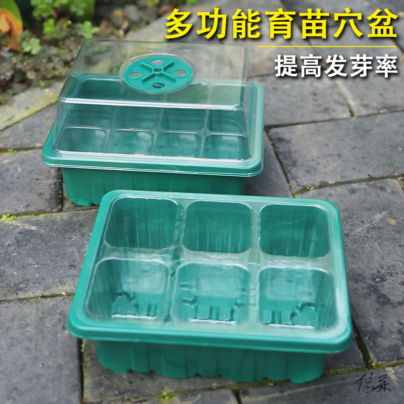 Clear Seedling Starter Trays with Lids for Plant Propagation and Germination