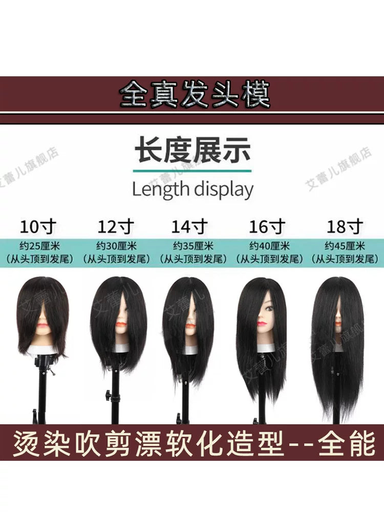 Professional Human Hair Mannequin Head for Hairdressing Practice