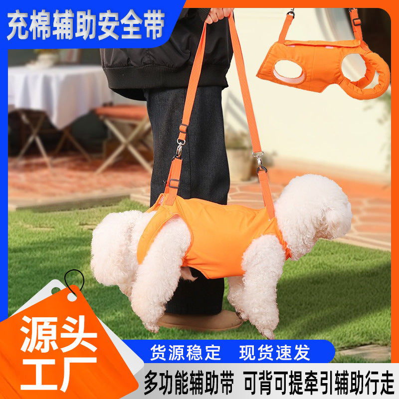 Multi-functional Pet Lifting Harness and Leash for Small Dogs