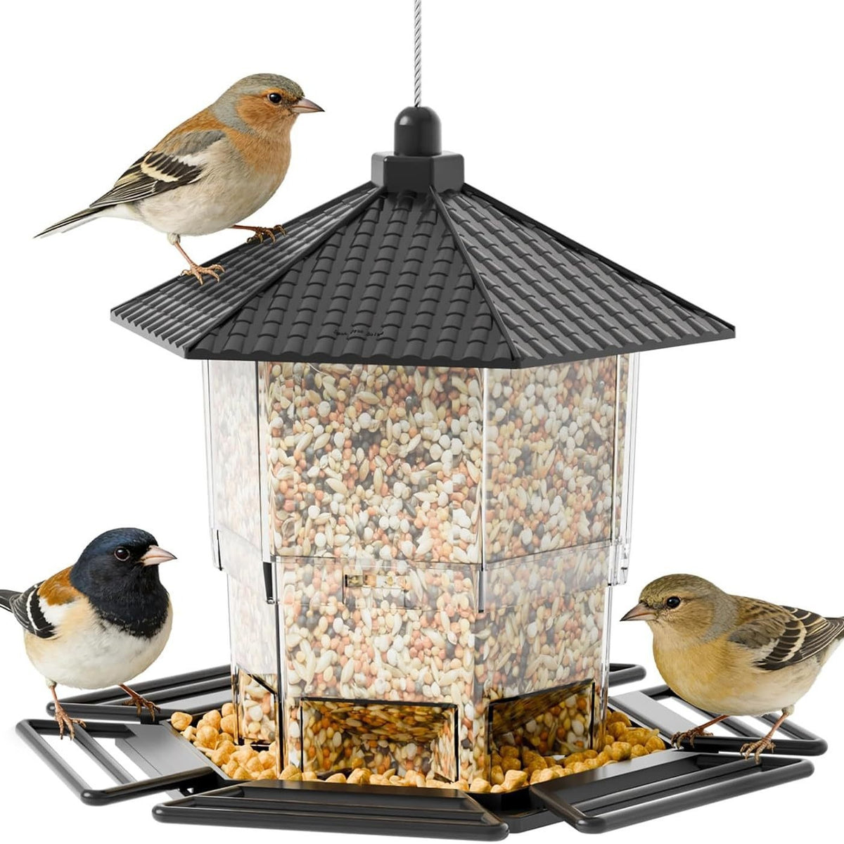 Transparent Acrylic Window Bird Feeder with Suction Cups - Wall-Mounted Bird Cage for Parrots and Small Birds