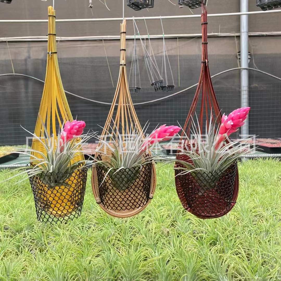 Handwoven Bamboo Hanging Basket for Home Decor and Storage