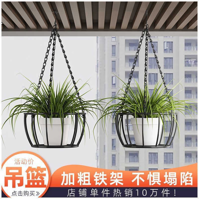 Iron Art Hanging Planter Basket for Indoor Plants