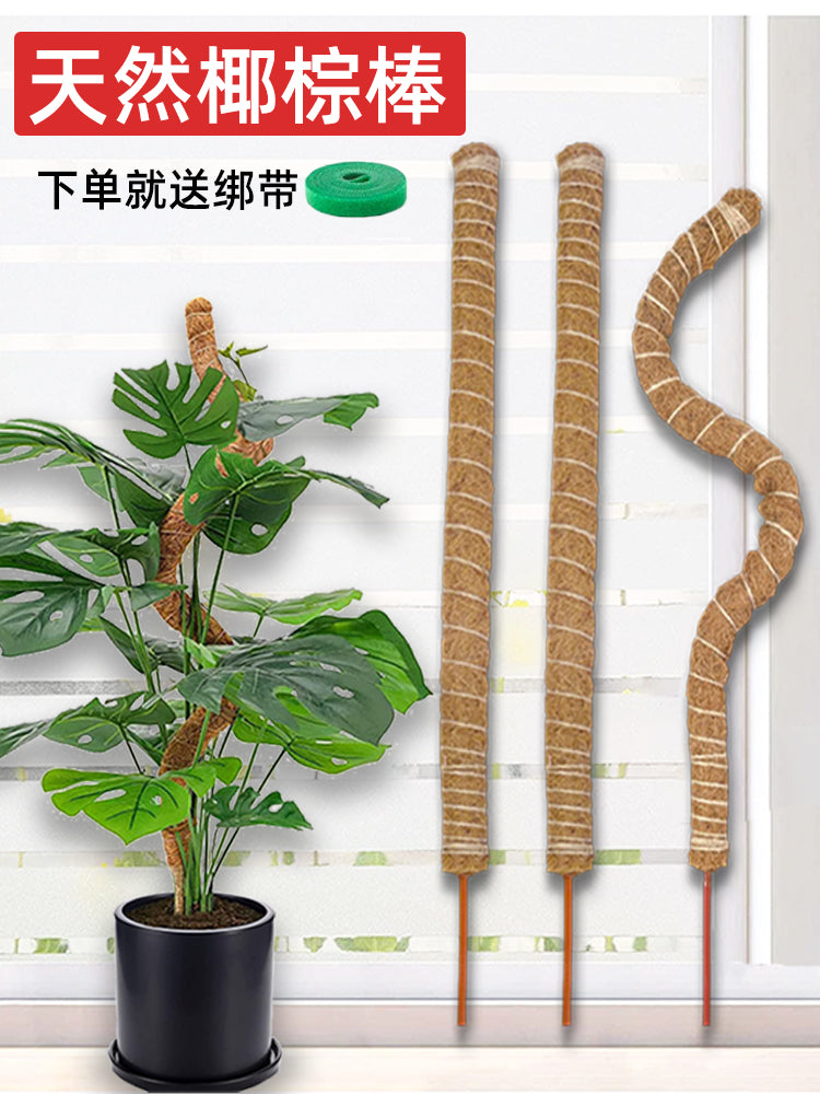 Bendable Coir Moss Pole for Climbing Plants, Plant Support Stake for Potted Plants