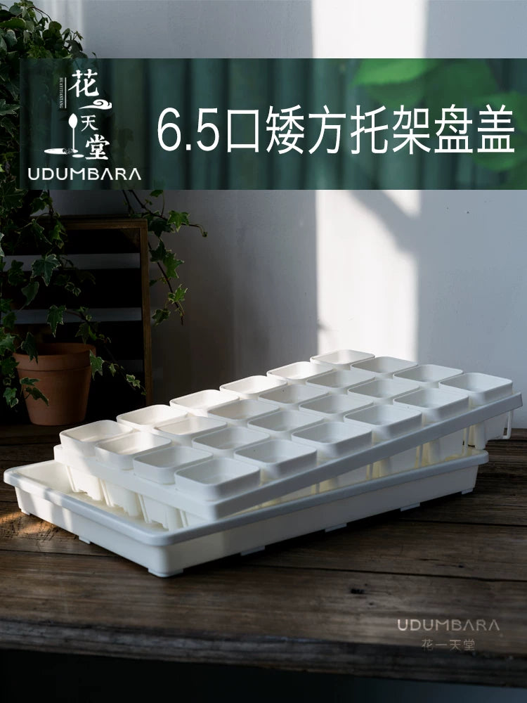 Thickened 6.5cm Square Succulent Planter with Seedling Tray and Humidity Dome