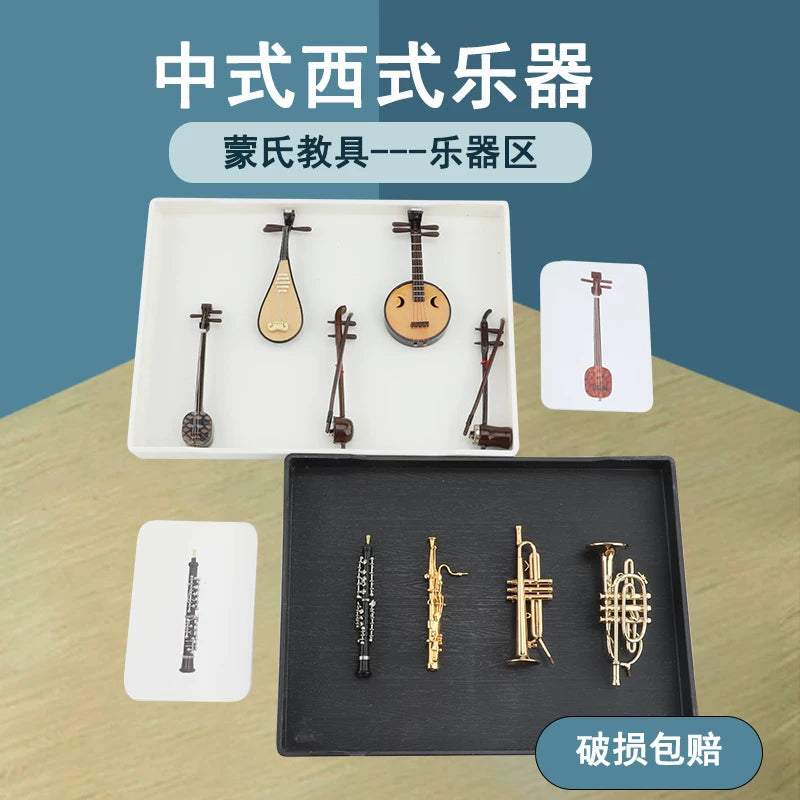 Montessori Musical Instrument Model Set for Early Childhood Language Education