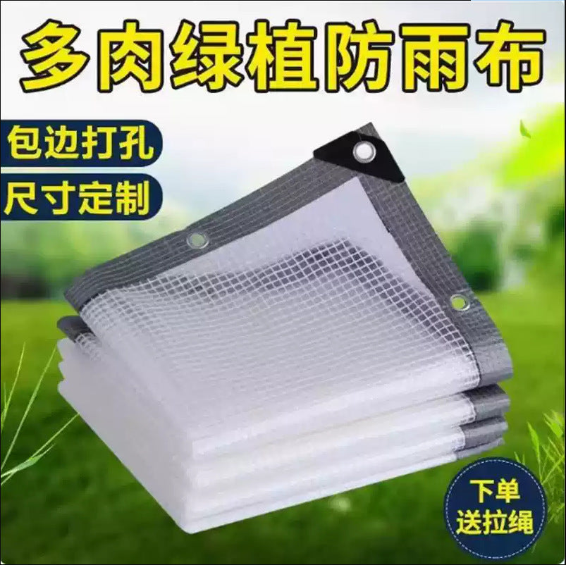 Transparent Waterproof PVC Tarpaulin with Grid for Outdoor Rain and Wind Protection