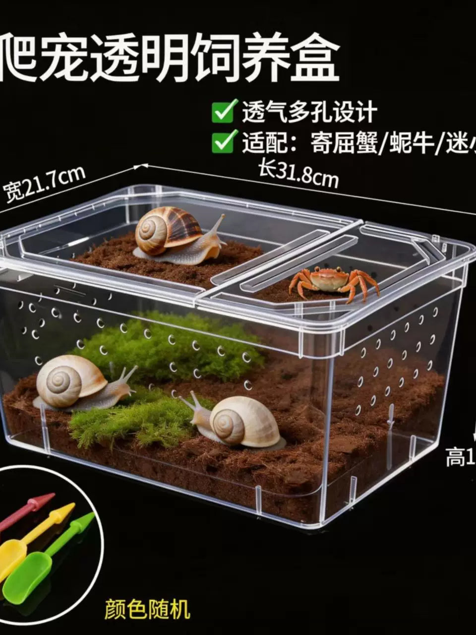 Hermit Crab Terrarium with Accessories - Transparent, Ventilated Habitat for Small Reptiles and Snails