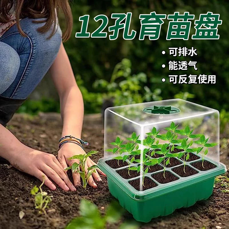 Seedling Starter Tray Kit with Humidity Dome - 12-Cell Plant Germination Station for Succulents
