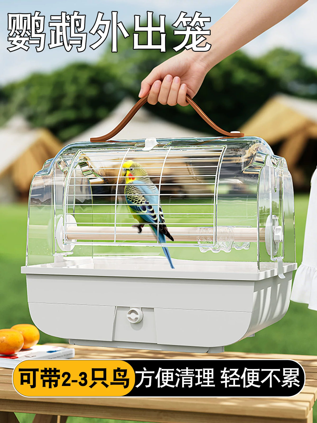 Portable Parrot Carrier Cage for Outdoor Travel - Easy Clean, Anti-Splash Design for Budgies, Cockatiels, and Sun Conures