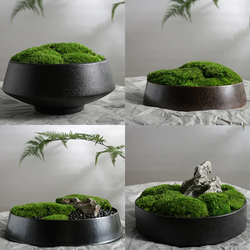 Preserved Moss Bonsai Artificial Plant Micro Landscape Ornament for Table Decor