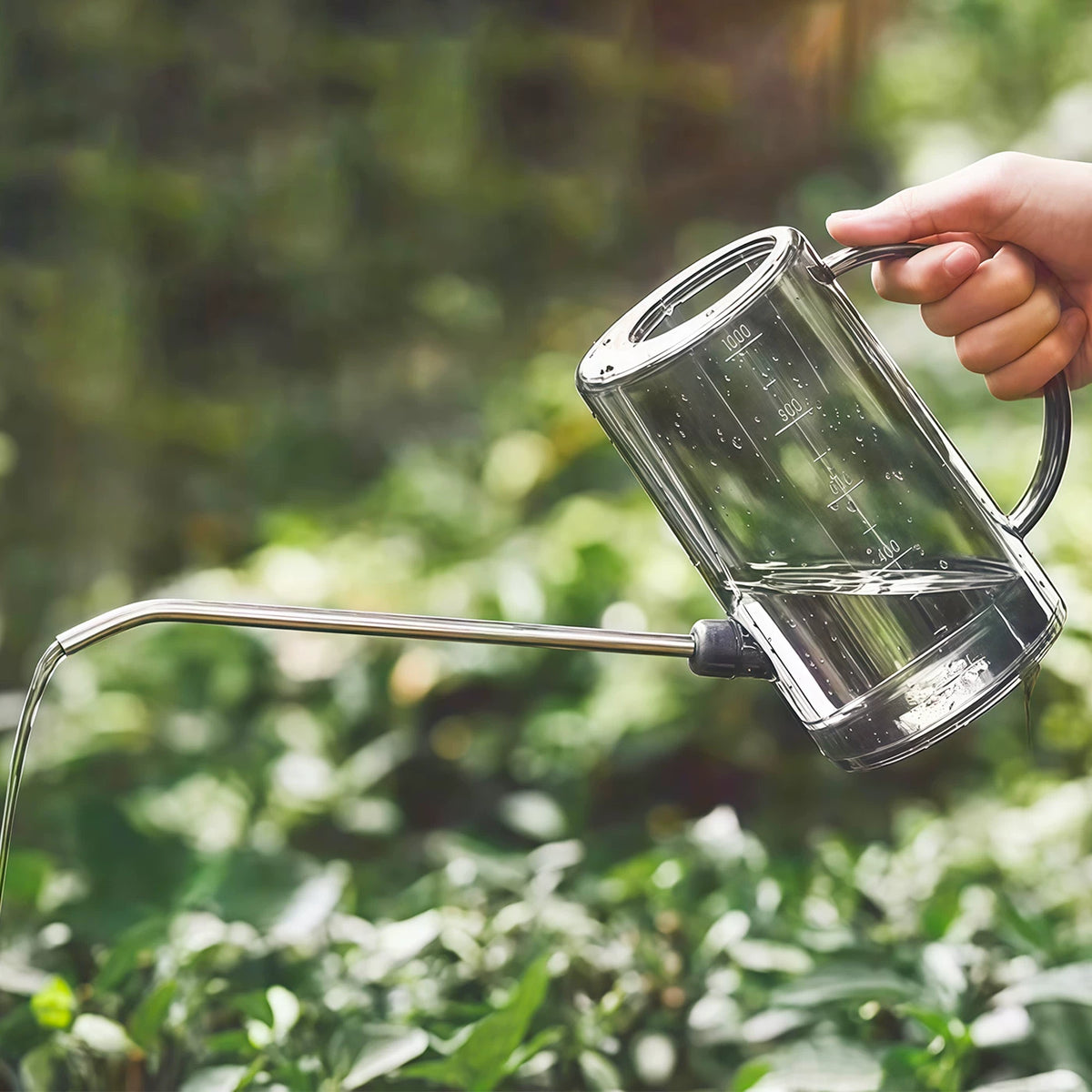 Stainless Steel Long Spout Watering Can for Indoor Plants & Garden, 1.5L