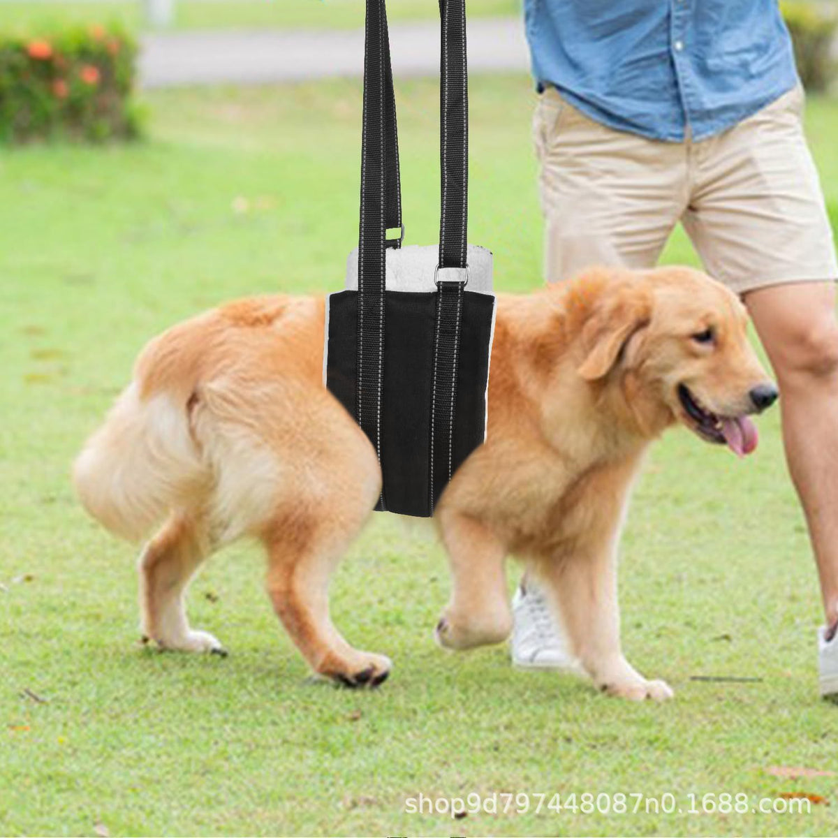 Pet Dog Support Harness for Rehabilitation and Mobility Assistance