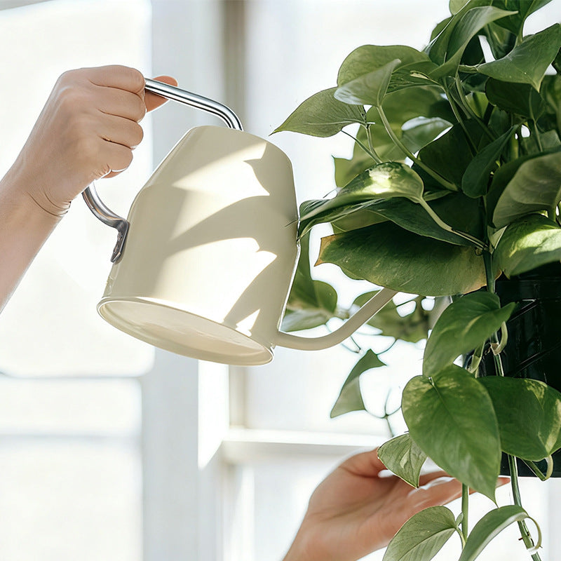 Long Spout Watering Can for Indoor Outdoor Plants, Small Vintage Iron Art Watering Pot for Succulents and Potted Plants