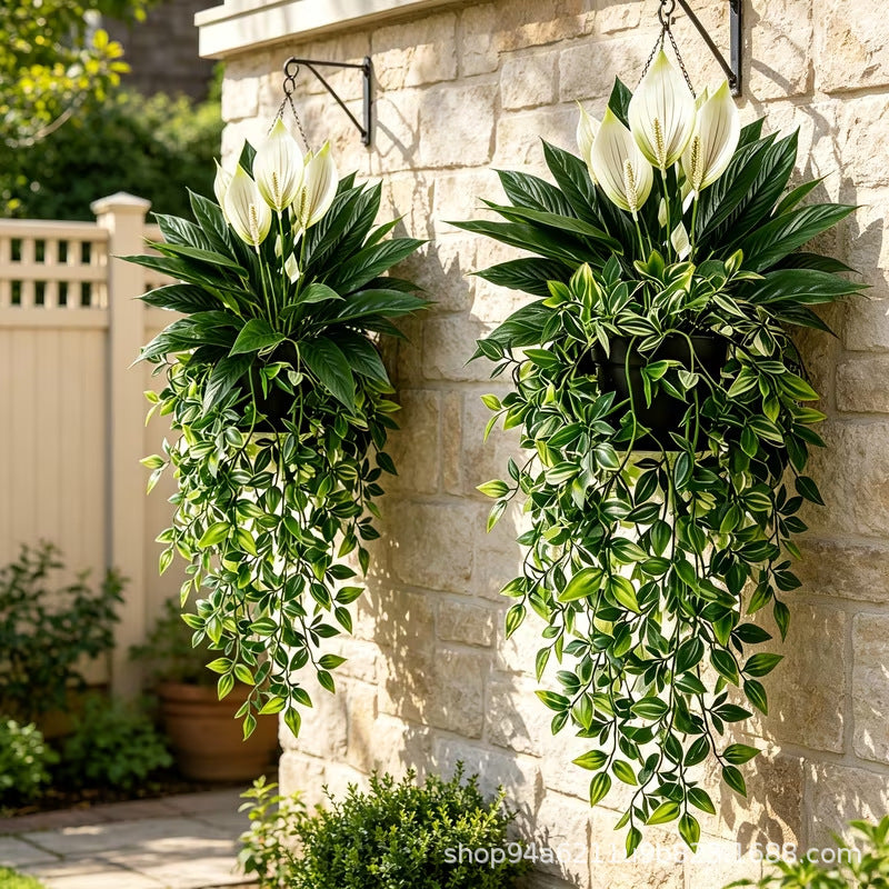 Artificial Mandevilla Potted Hanging Vine for Indoor Wall Decor
