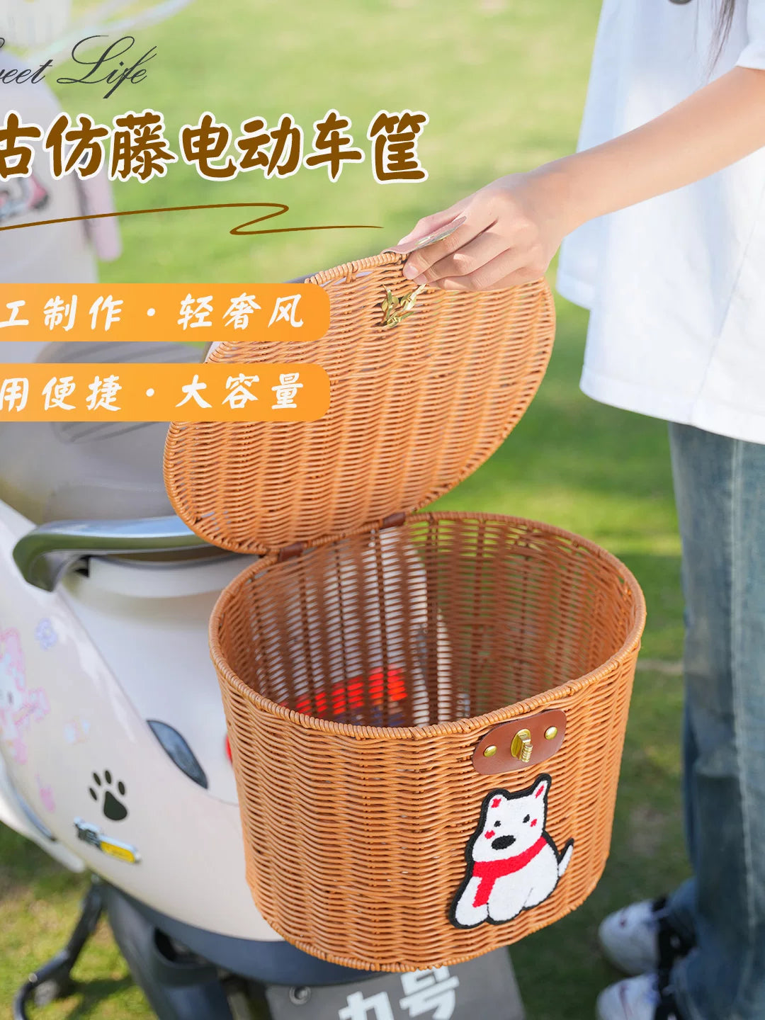 Electric Bicycle Rear Basket with Lid and Dog Decal/Bead Buckle - Universal Storage for Helmets and Pets