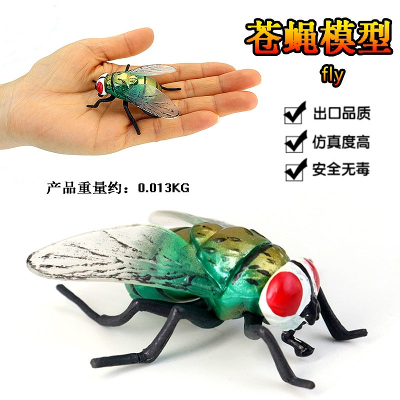 Insect Life Cycle Figurines Educational Toy Set