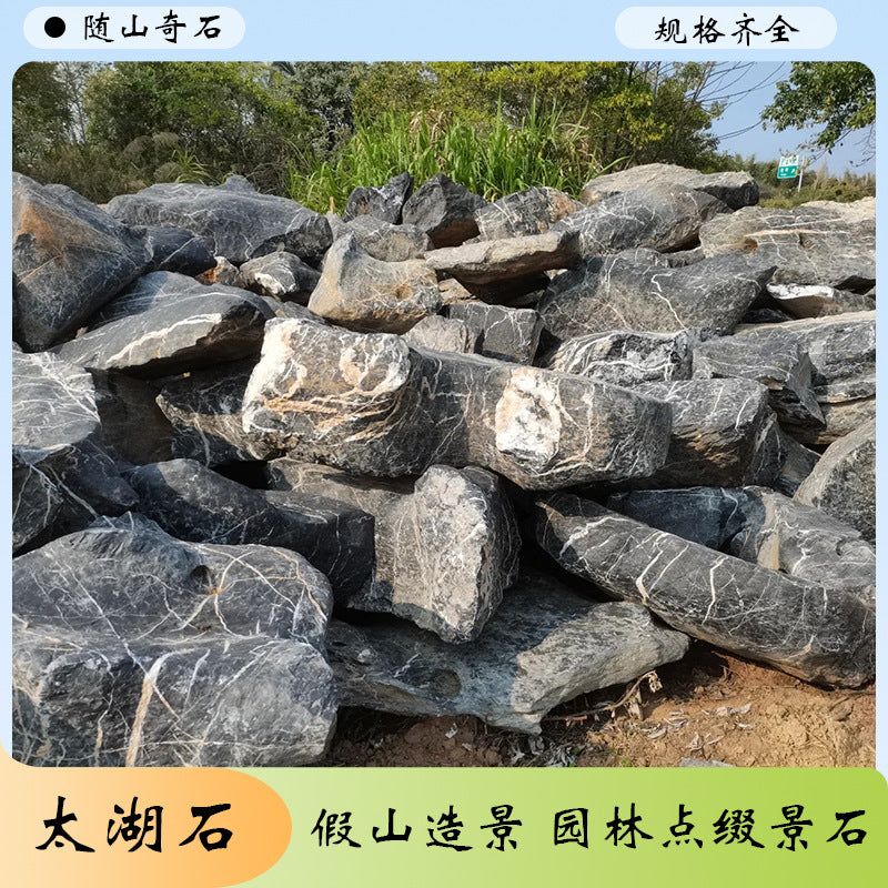 Taihu Rock Garden Landscape Stone for Water Features and Courtyard Decor