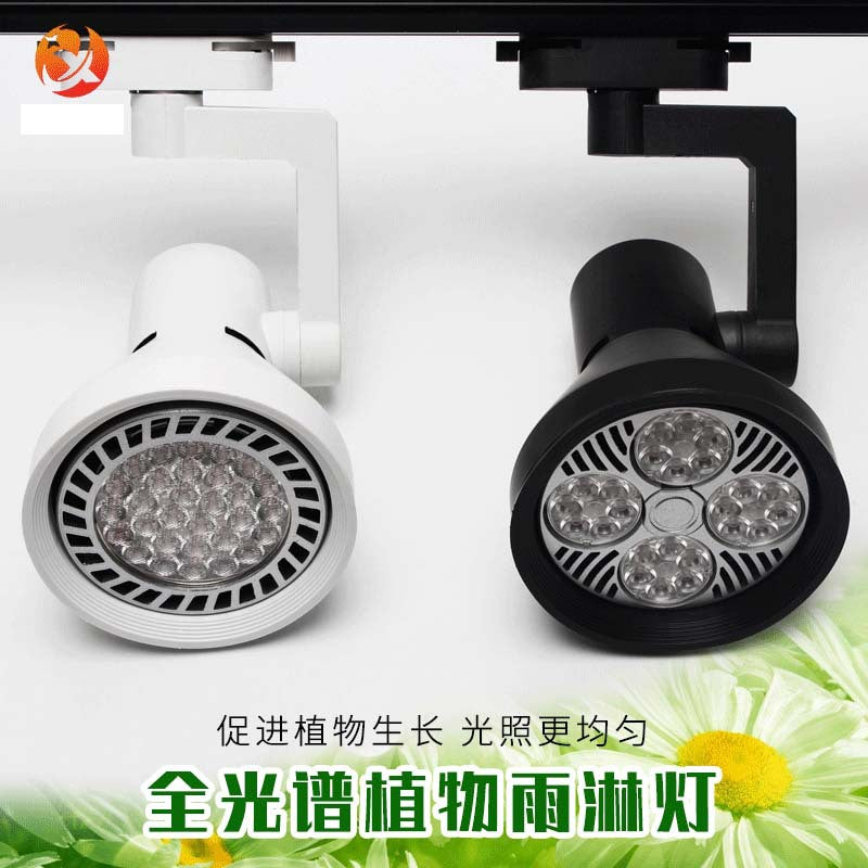 Full Spectrum LED Grow Light for Indoor Plants, Terrariums, and Micro-Landscapes