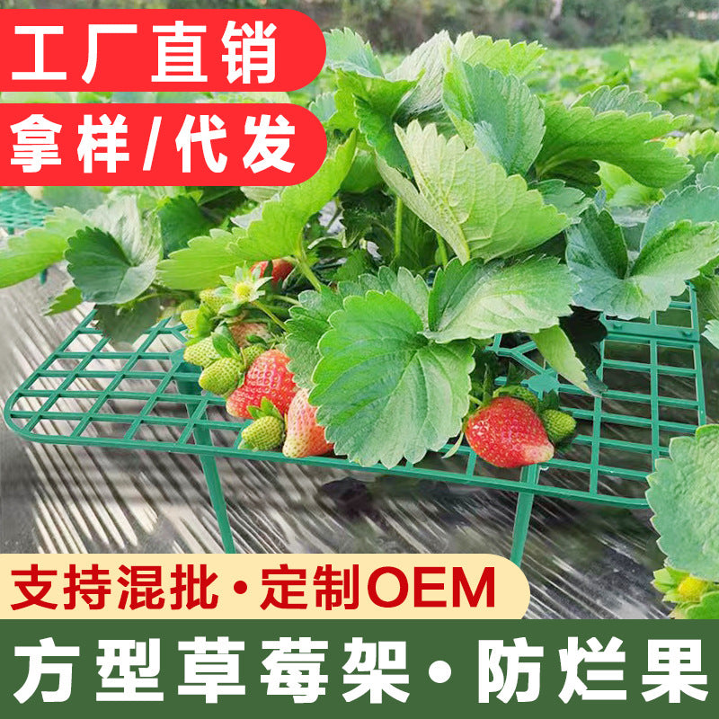 Square Strawberry Support Frame Garden Stand Anti-Toppling Fruit Holder Gardening Supplies Strawberry Planting Support Rack