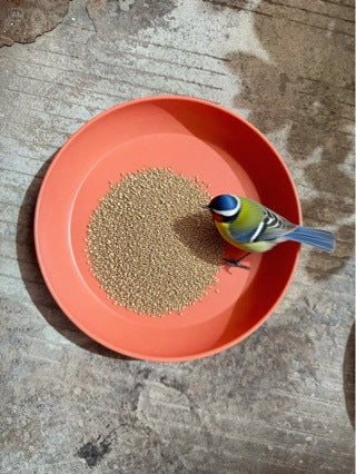 Outdoor Garden Iron Bird Feeder Tray Bird Bath