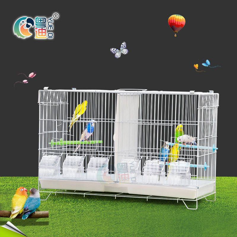 Luxury Breeding Cage for Parrots and Birds - Multi-Tier Villa Design