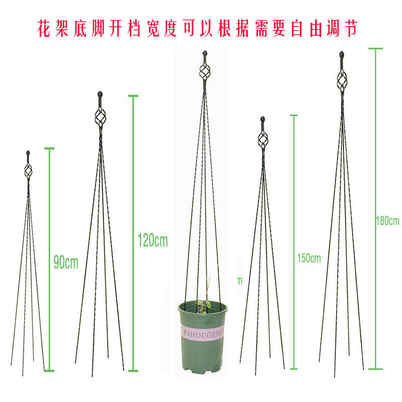 European Style Wrought Iron Climbing Plant Trellis for Potted Plants