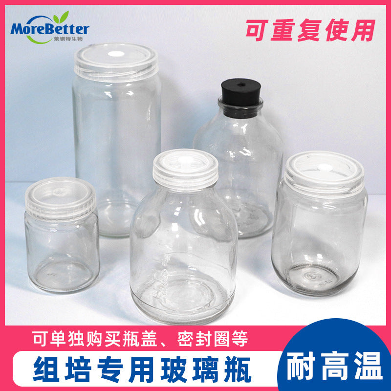 Glass Tissue Culture Bottles with Lids for Plant Propagation, 240-480ml