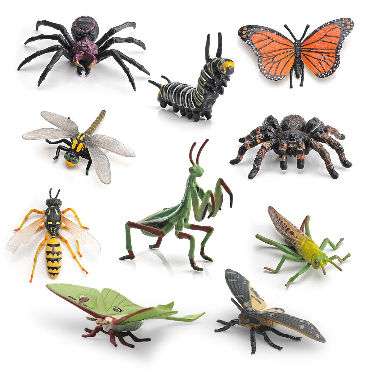 Realistic Tropical Rainforest Insect Animal Model Figurines