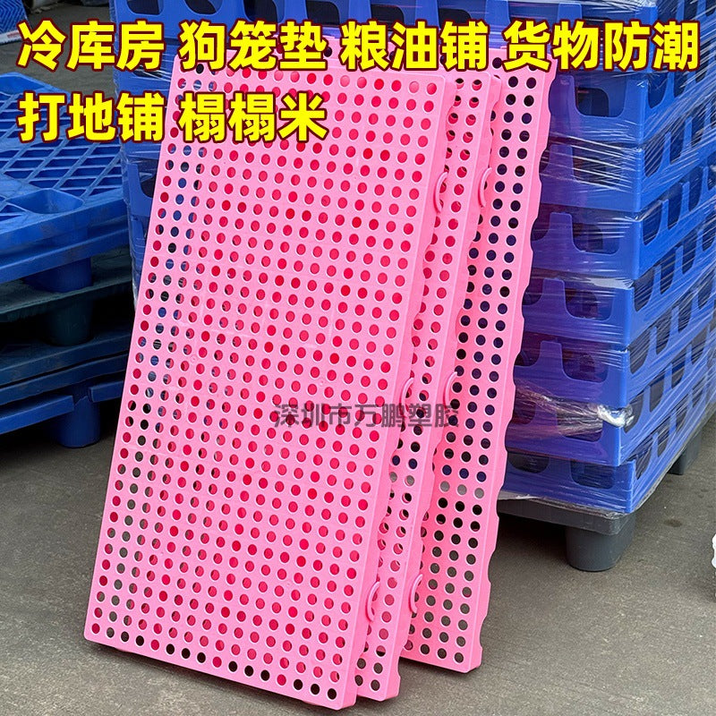 Moisture-Proof Plastic Pallet for Warehouse Cold Storage and Pet Cages
