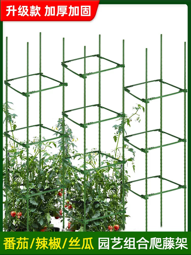 Plant Support Stakes for Climbing Vines, Tomatoes, Eggplants, Cucumbers, and Roses