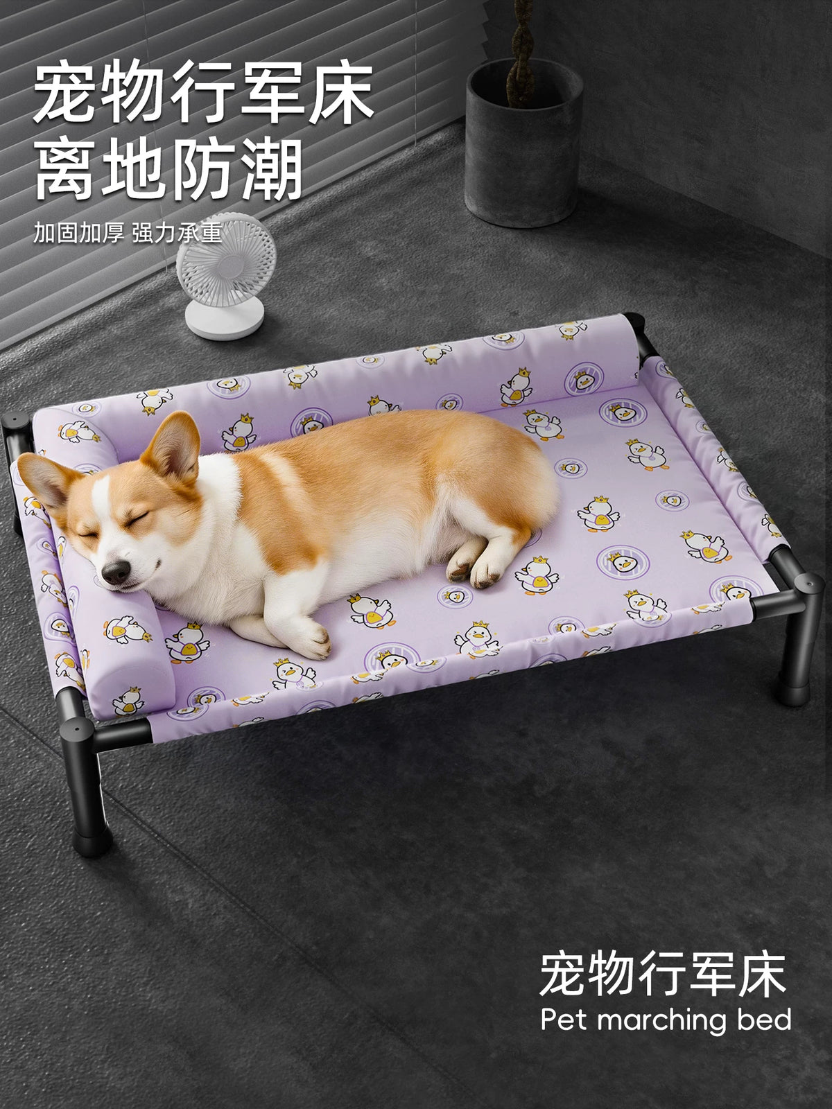 Elevated Pet Cot for Small to Medium Dogs, Breathable and Moisture-Proof, Washable, All-Season Use