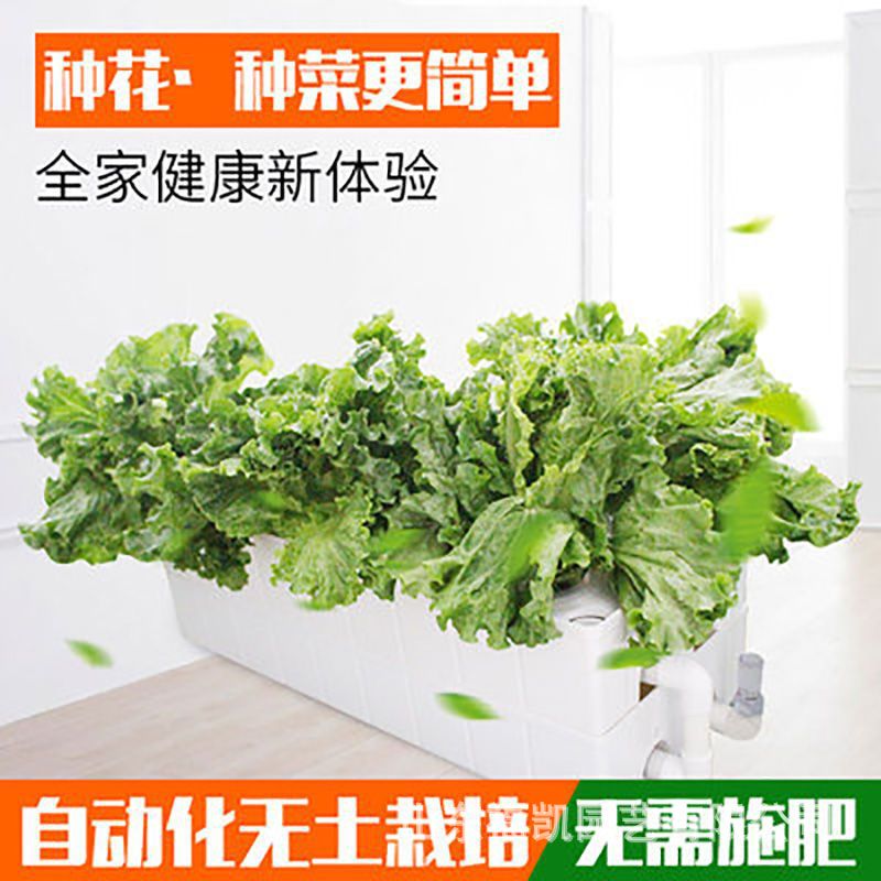Hydroponic Planter Box Kit for Balcony Vegetable Gardening