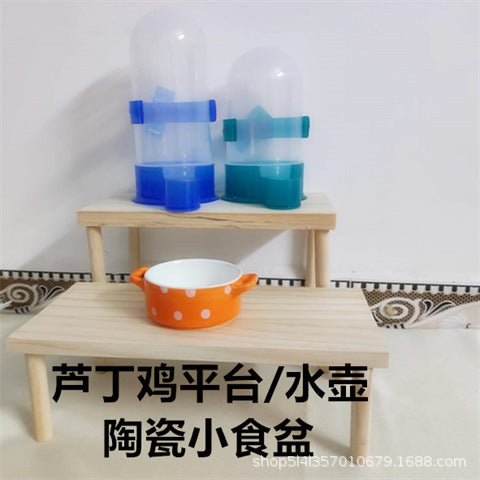 Automatic Bird Feeder and Water Dispenser for Parrots and Small Birds, Hanging Design