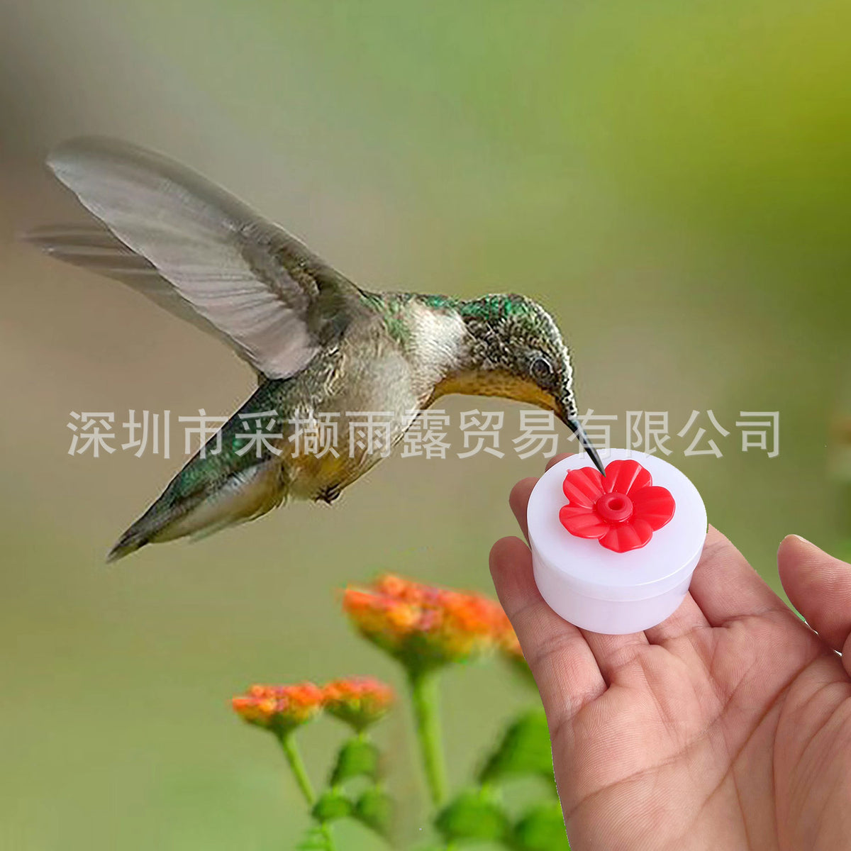 Handheld Hummingbird Feeder with Suction Cup and Perch