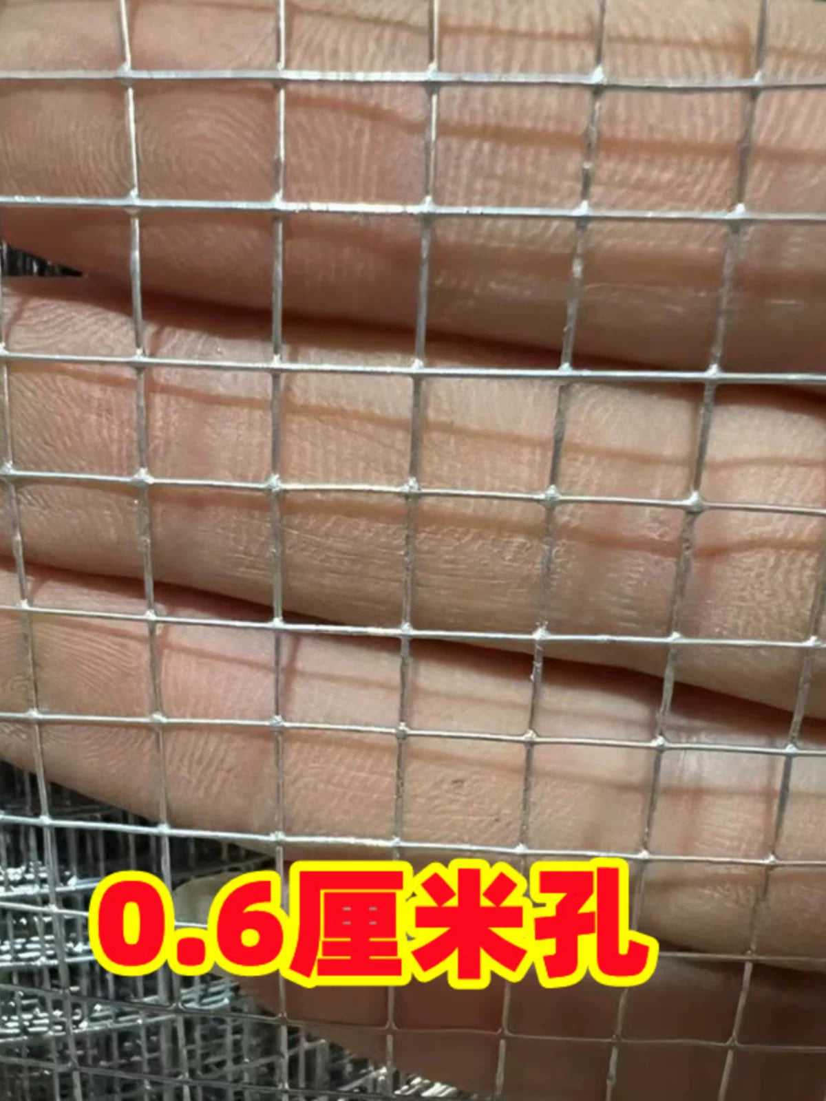 Galvanized Welded Wire Mesh Fence for Garden, Poultry, Window, Balcony, Rodent and Cat Protection