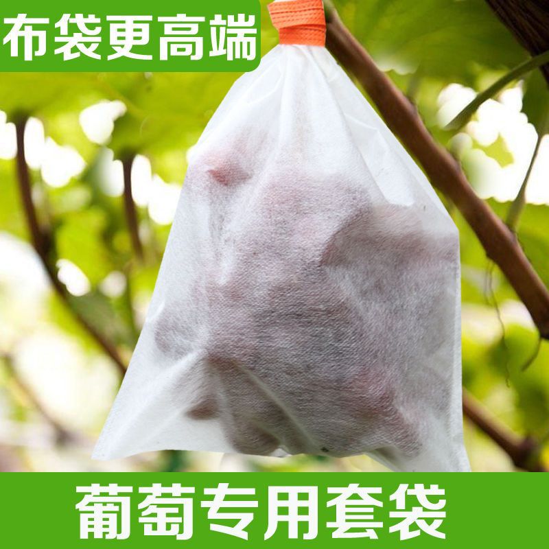 Non-Woven Fruit Protection Bags for Orchards, Anti-Bird, Dust-Proof, Insect-Proof, Breathable