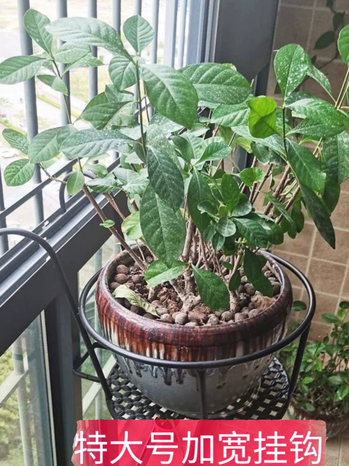 Extra Large Hanging Balcony Railing Planter for Potted Plants - Wrought Iron Flower Pot Holder