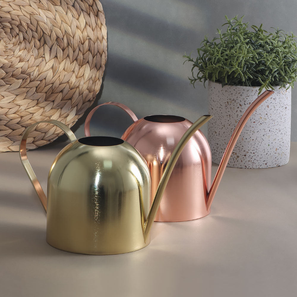 Stainless Steel Long Spout Watering Can for Indoor Outdoor Plants, 450ML