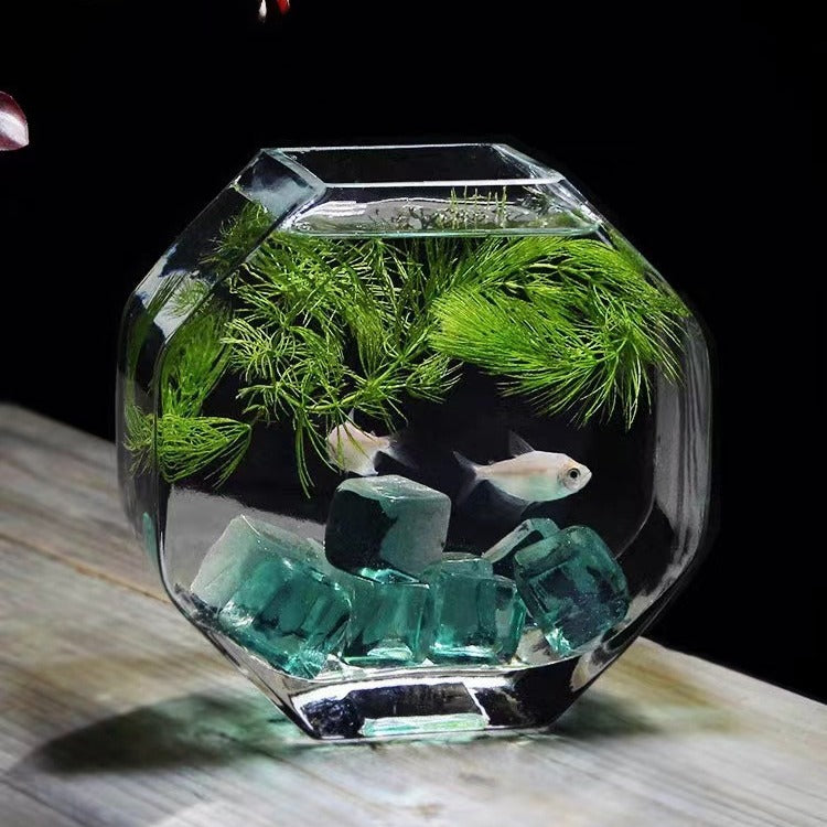 Creative Thickened Glass Desktop Fish Tank for Hydroponics and Landscaping