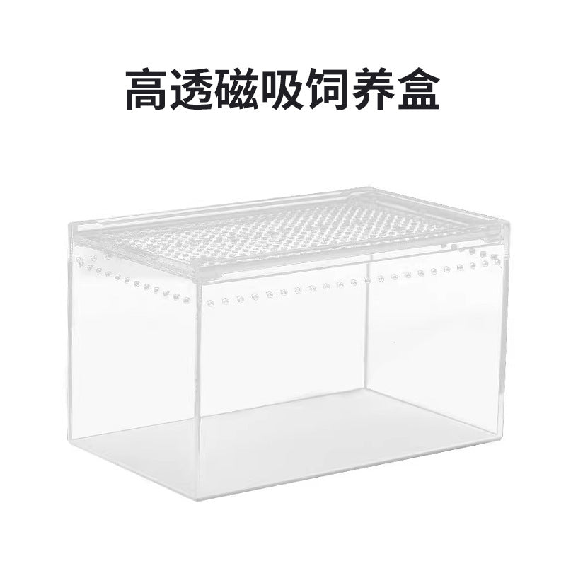 Acrylic Transparent Reptile Breeding Box for Lizards, Frogs, Spiders, and Small Snakes