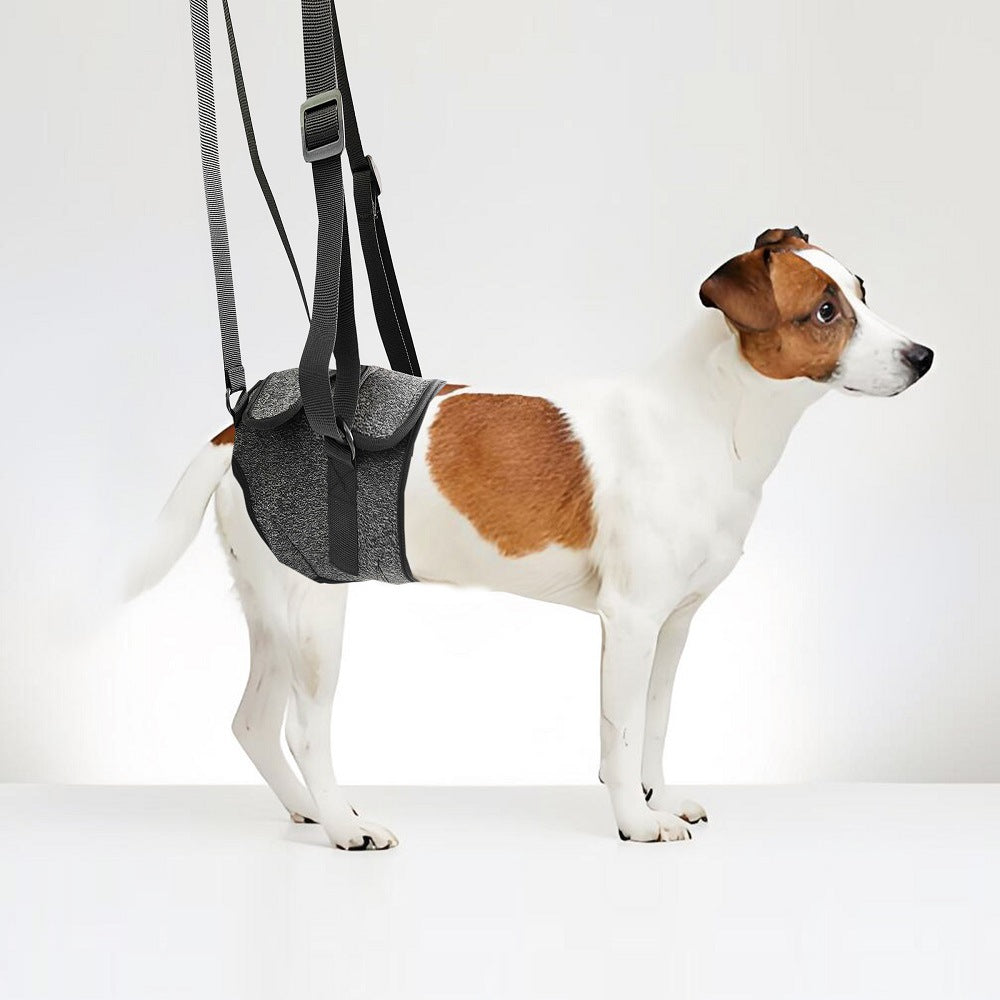 Dog Rear Leg Support Harness for Injured or Elderly Dogs
