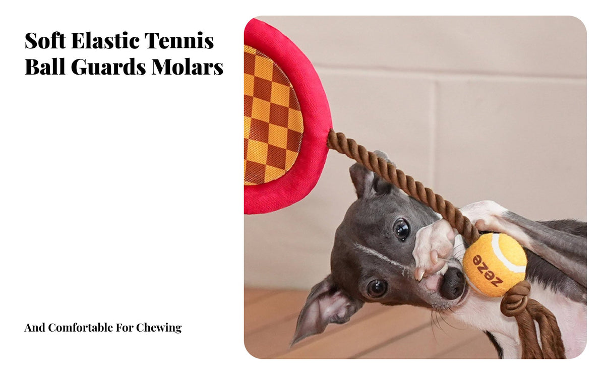 Tennis Racket Dog Toy Squeaker Inside Squeaky Racket Rope Toy Bite Resistant Pet Supply for Small Dogs, Young Dogs