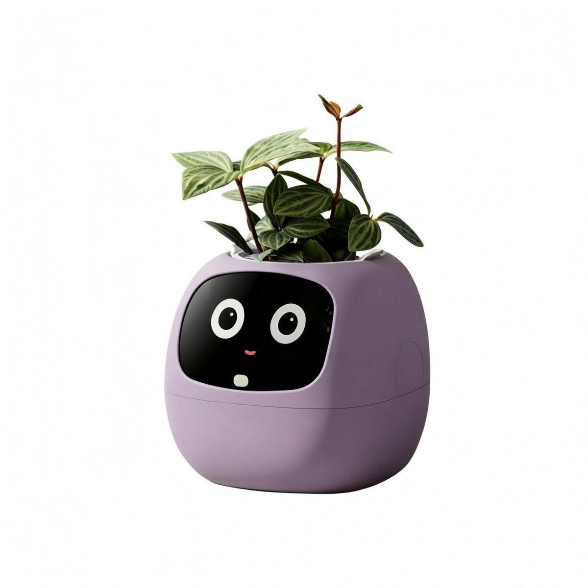 Face Planter Glossy Black Desktop Planter Rounded